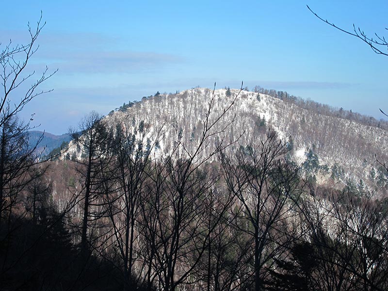 Kieneck, Almeskogel, Geißruck, Kalter Berg, Handlesberg