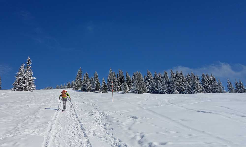 Tirolerkogel