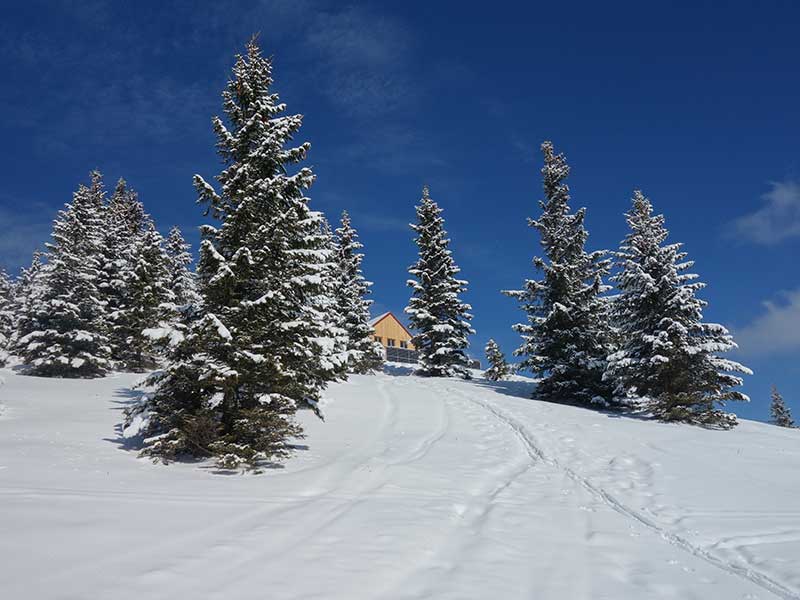 Tirolerkogel