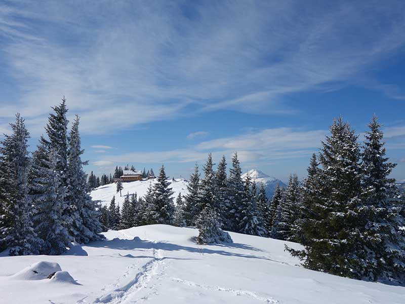 Tirolerkogel