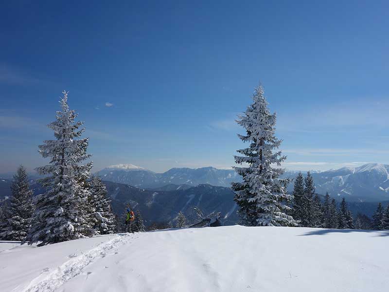 Tirolerkogel