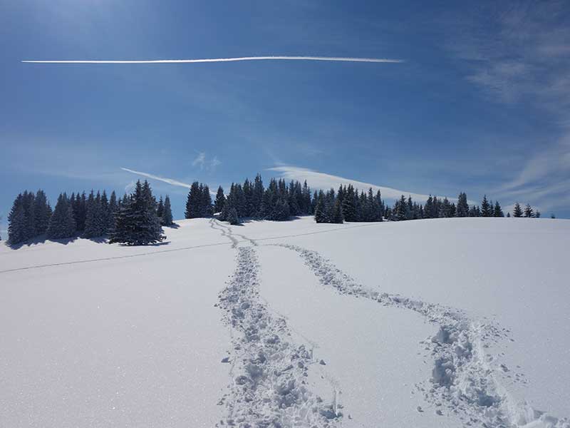 Tirolerkogel