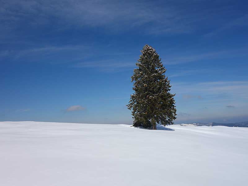 Tirolerkogel