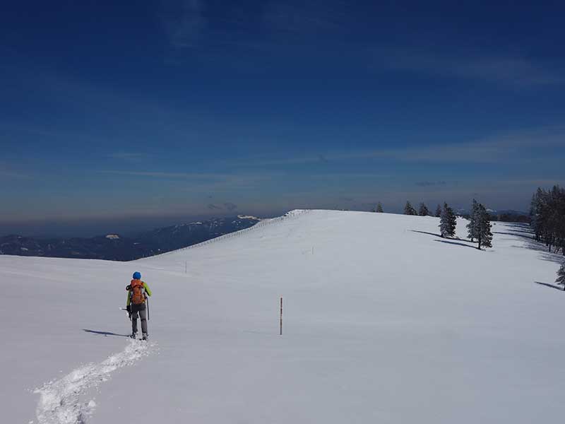 Tirolerkogel