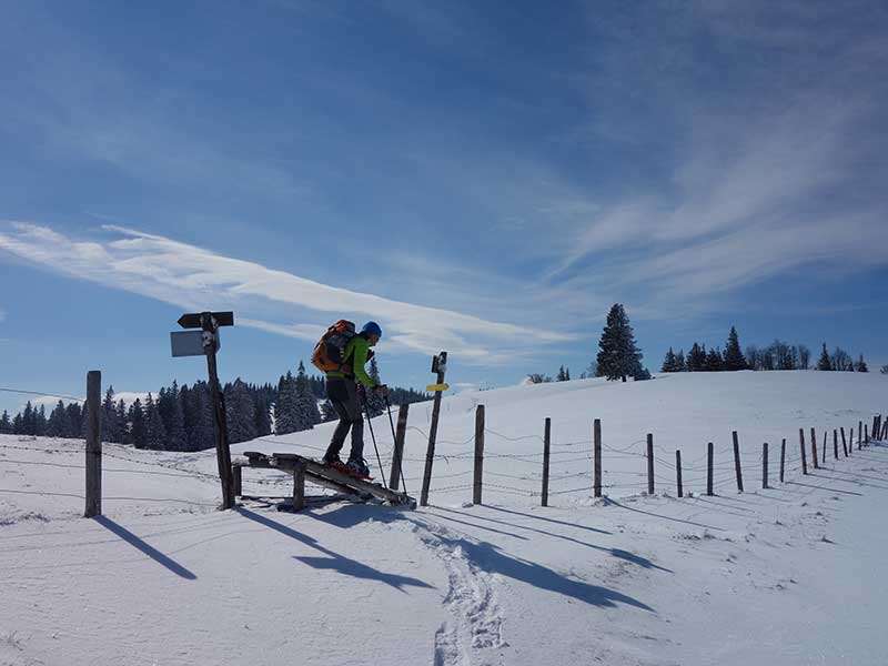 Tirolerkogel