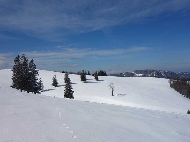 Tirolerkogel