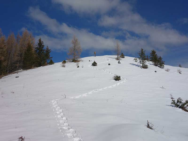 Tirolerkogel