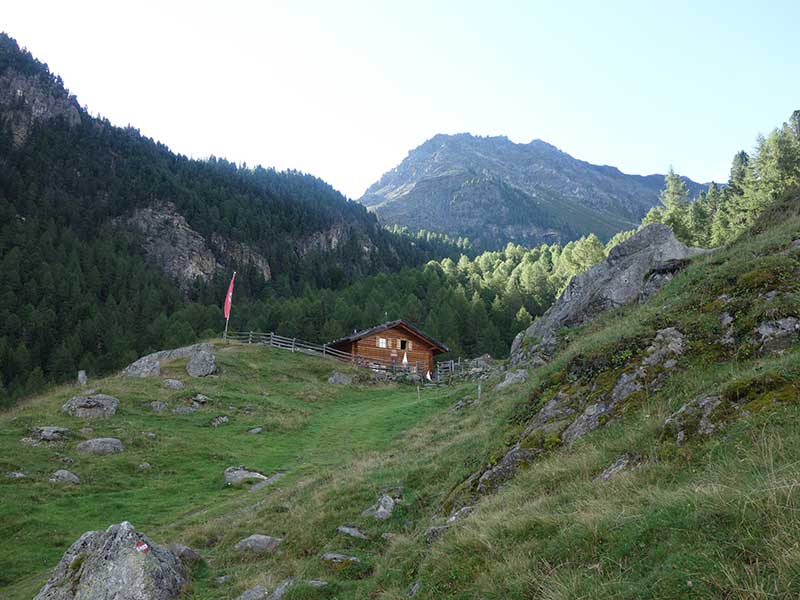 Kleinhasenohr