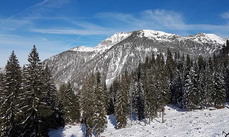 Rabenkogel