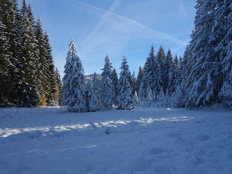 Rabenkogel