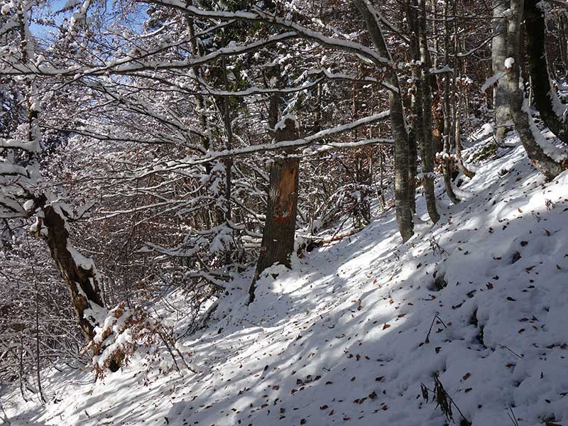 Rabenkogel