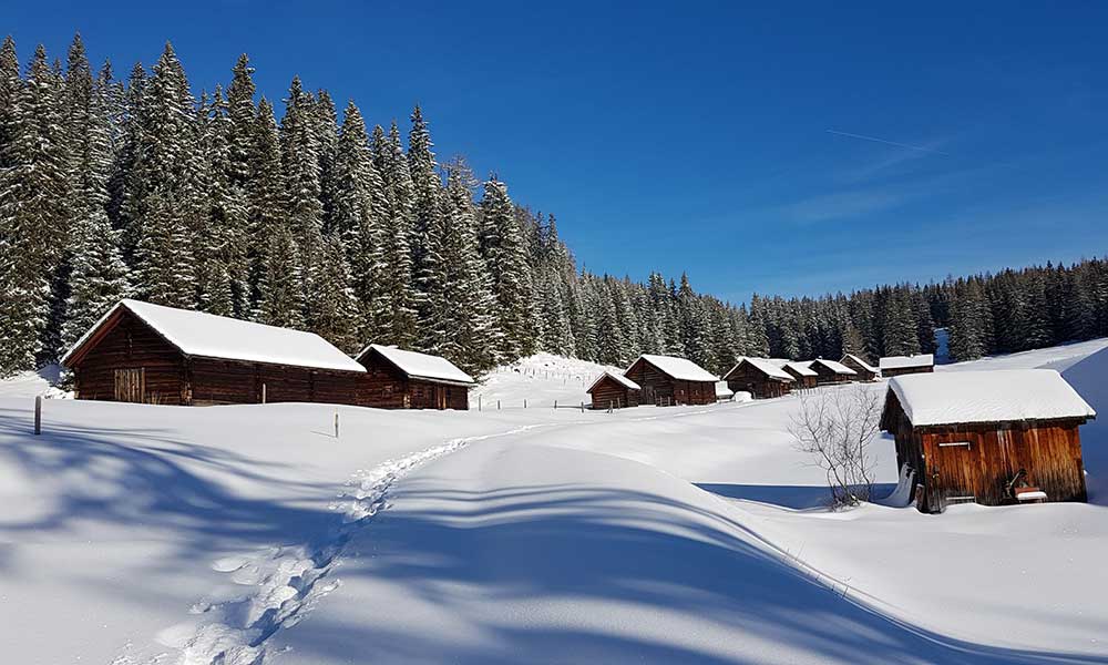 Bärentumpfkogel