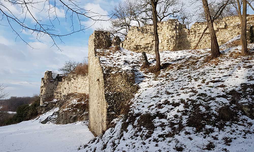 Hundsheimer Berg