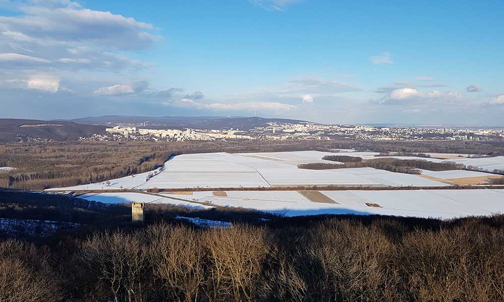 Hundsheimer Berg