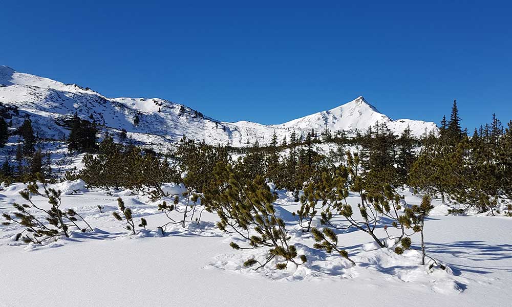 Karlspitze