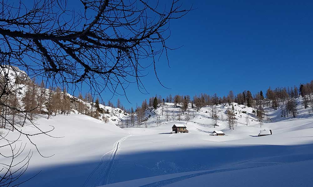 Almkogel