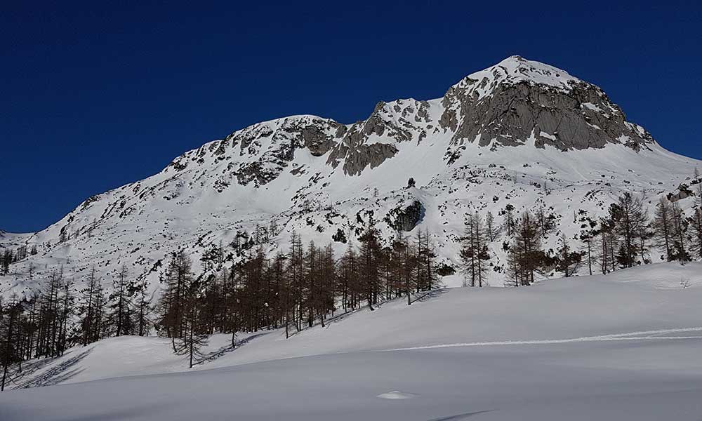 Almkogel