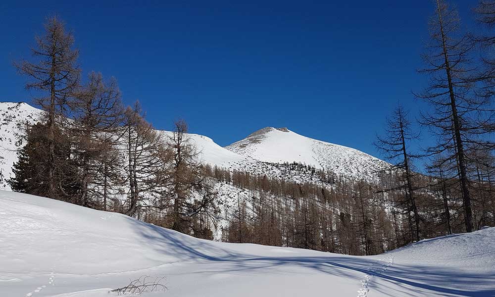 Almkogel