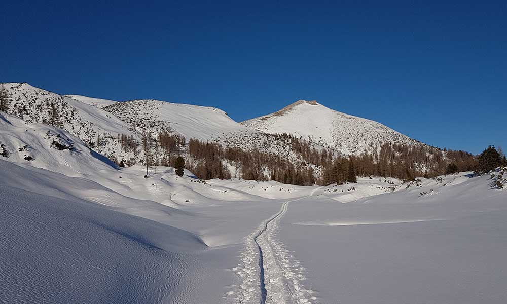 Almkogel