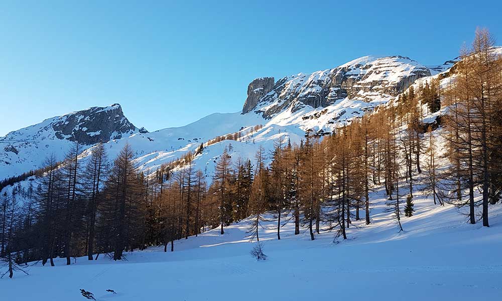 Almkogel