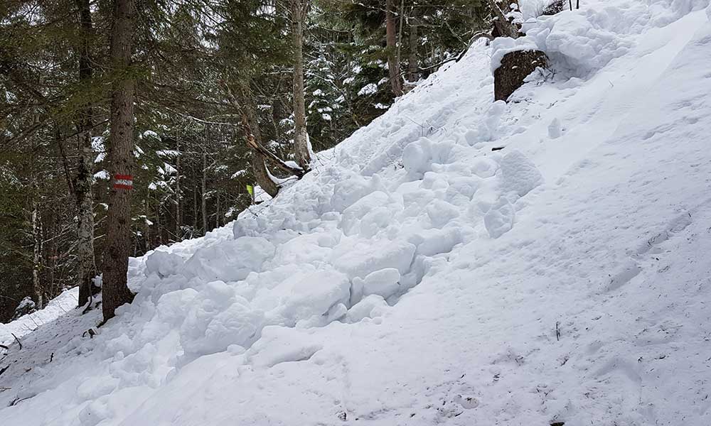 Freienstein