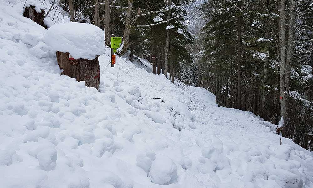 Freienstein