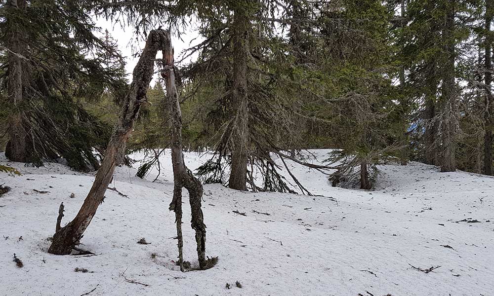 Lahngangkogel