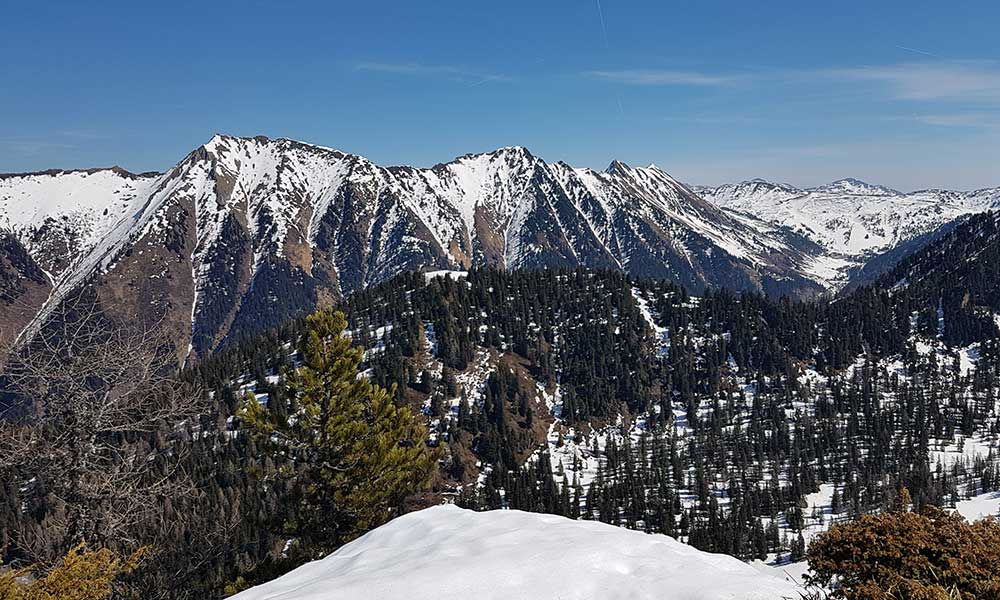 Schaabspitze