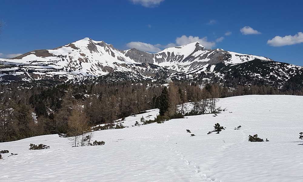 Schafberg