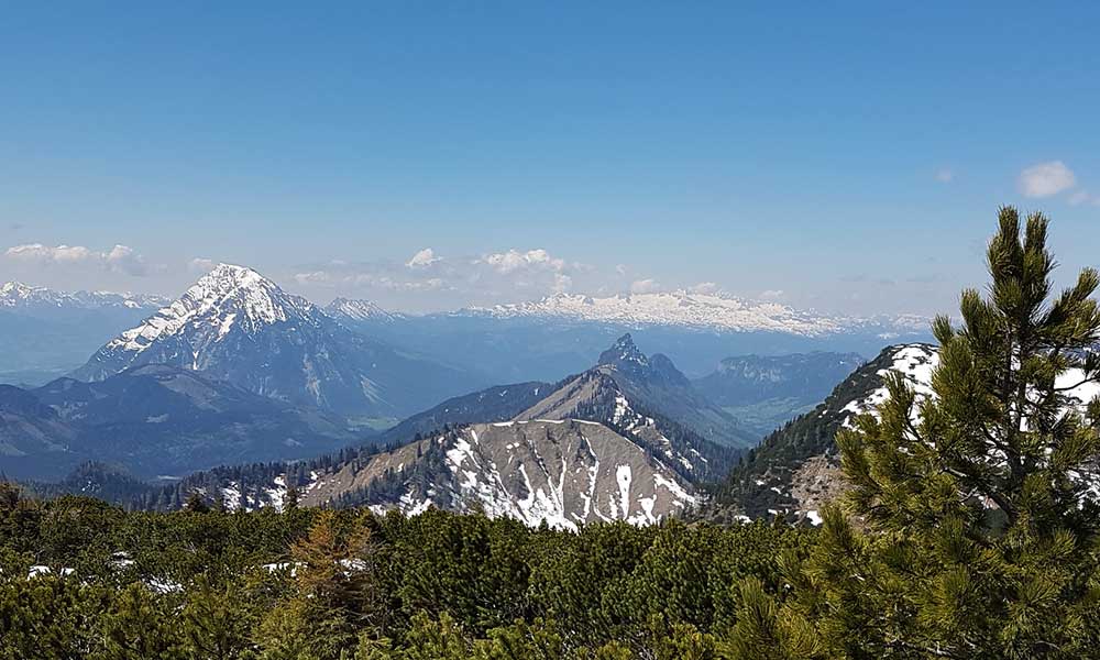 Schafberg 