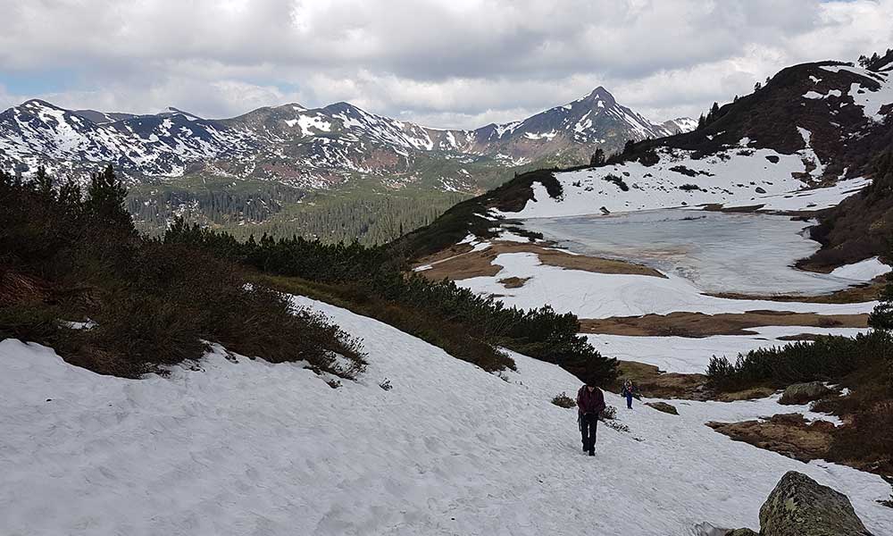 Planneralm