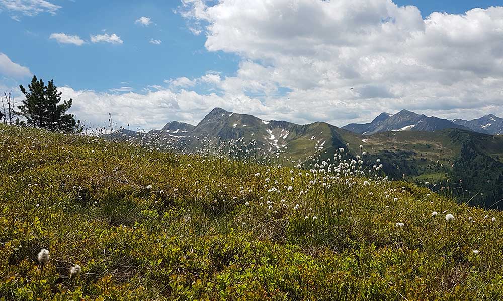 Finsterkarspitze