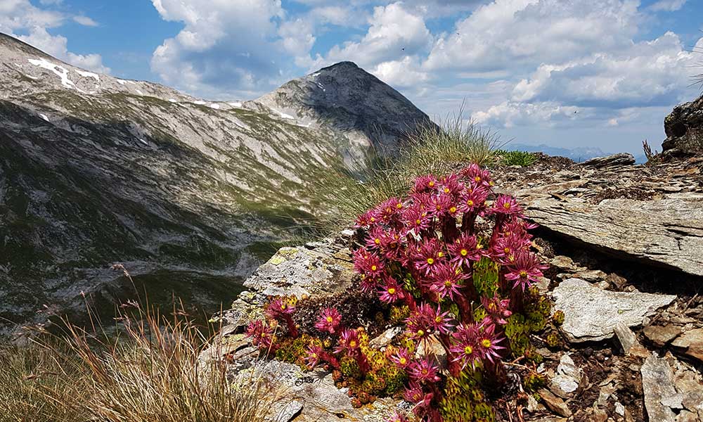 Znachspitze