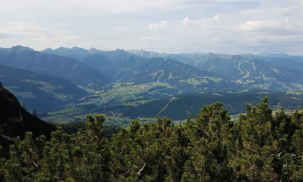 Scheichenspitze