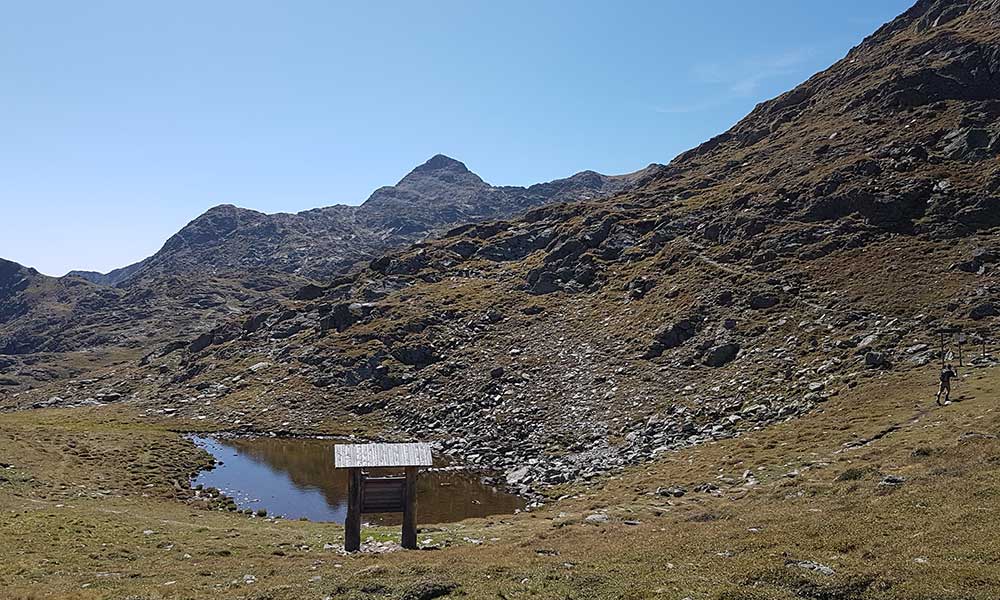 Riepenspitze