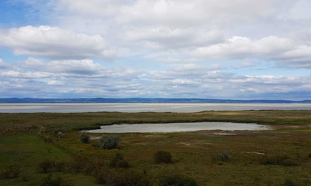 Neusiedlersee