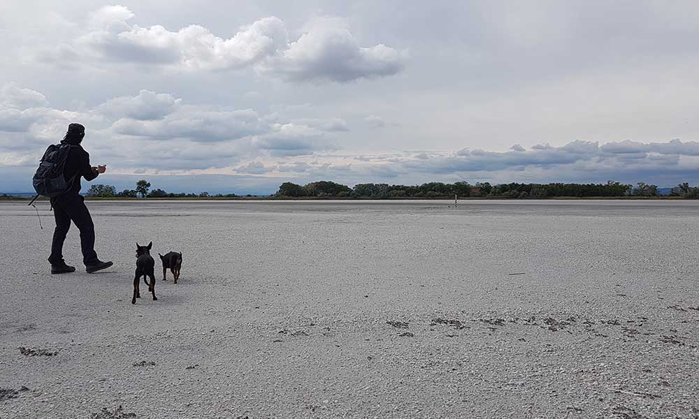 Neusiedlersee