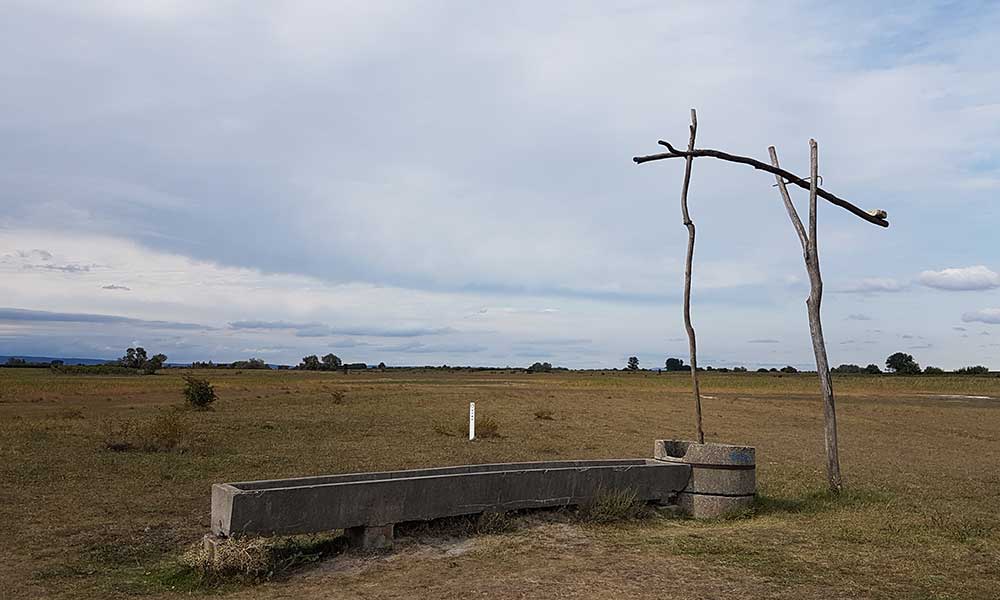 Neusiedlersee