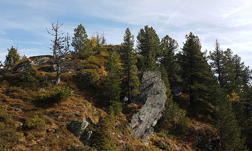 Schoberspitze