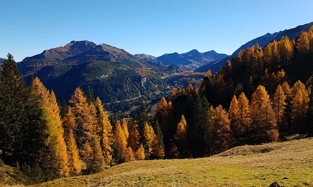 Scheibenkogel