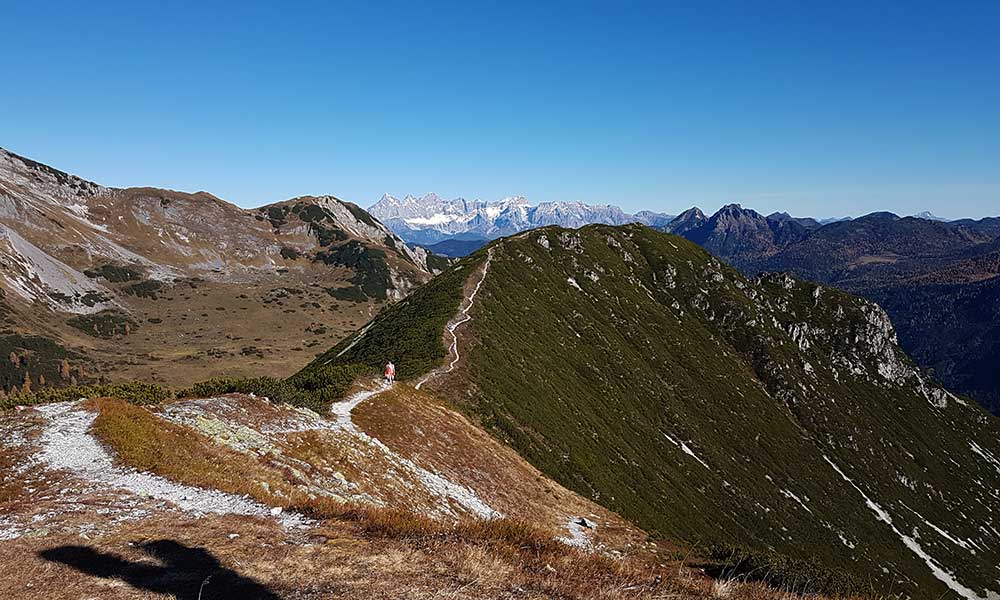 Scheibenkogel