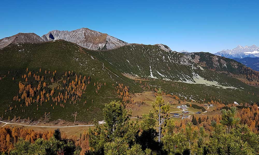 Scheibenkogel