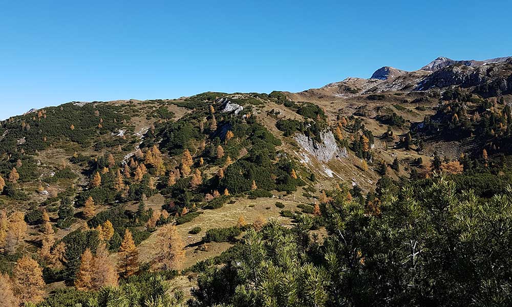 Scheibenkogel