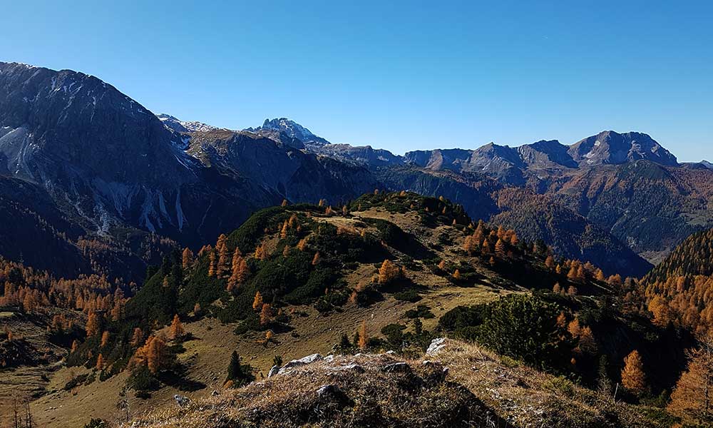 Scheibenkogel