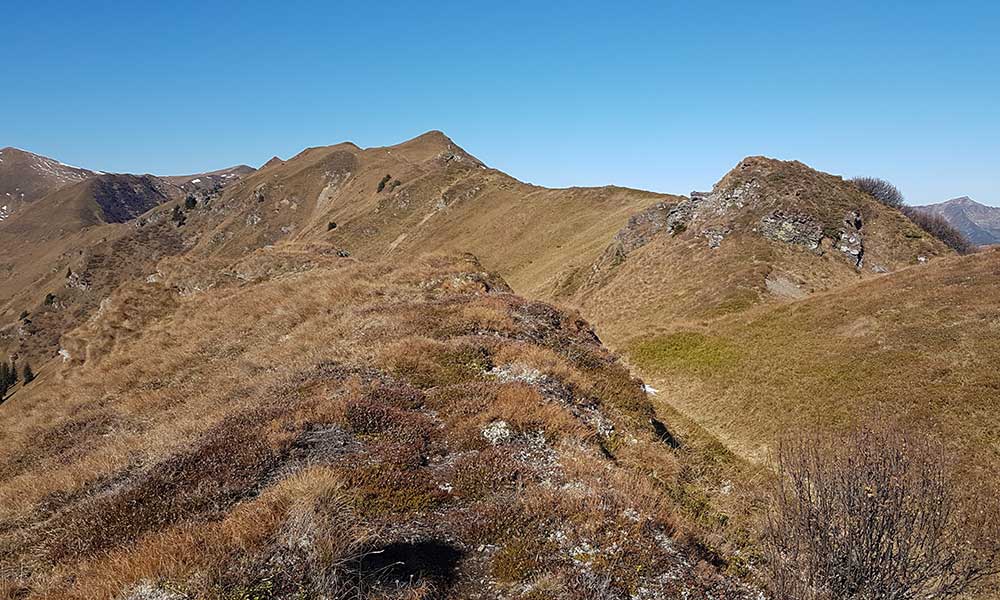 Wasserkogel