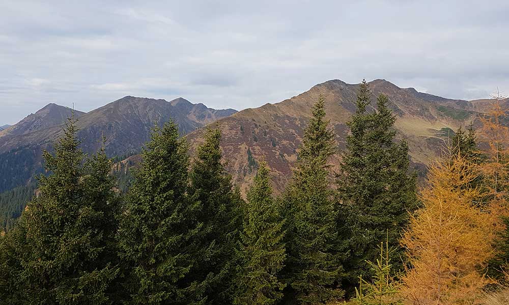 Hochschwung