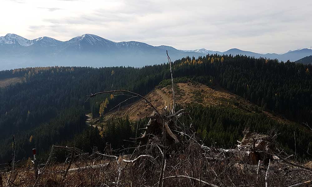 Klosterkogel