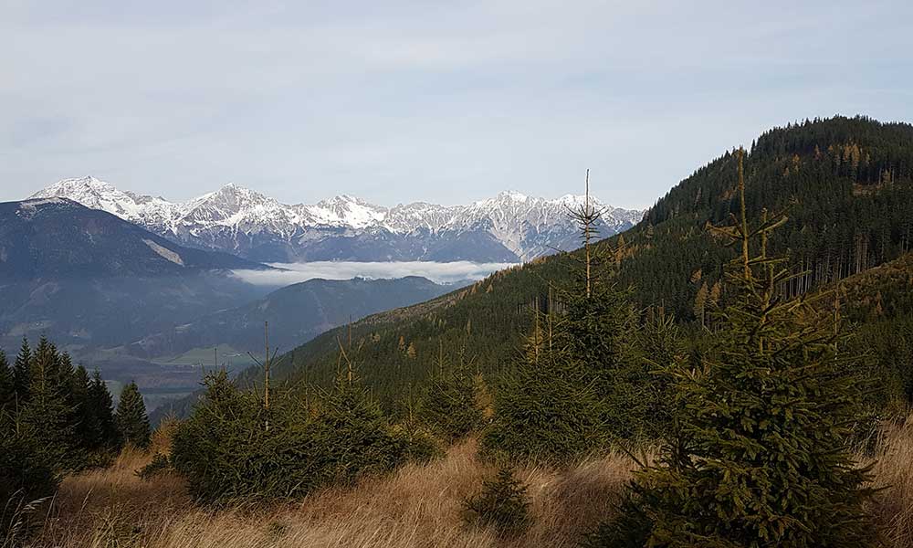 Klosterkogel