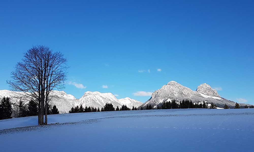 Kulmkogel