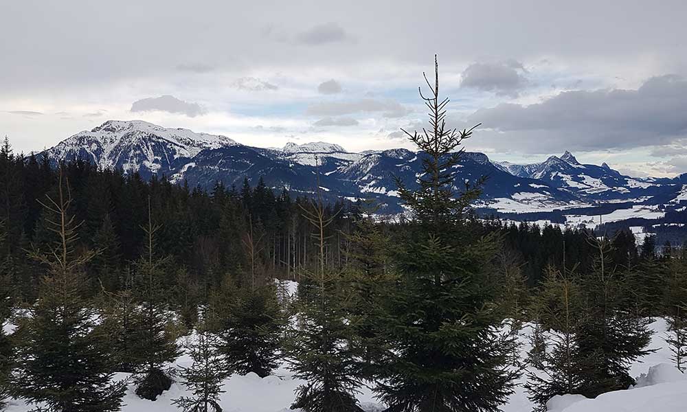 Wandlkogel